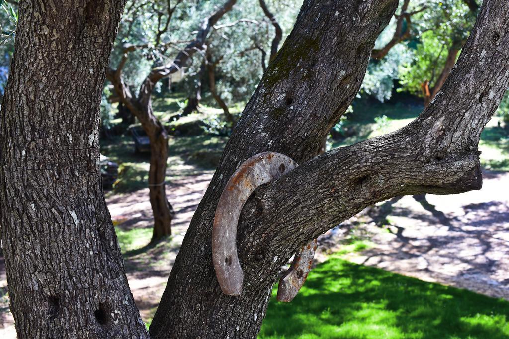 Mavres Luxury Studio Agios Matthaios  Luaran gambar
